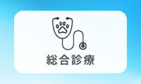 総合診療