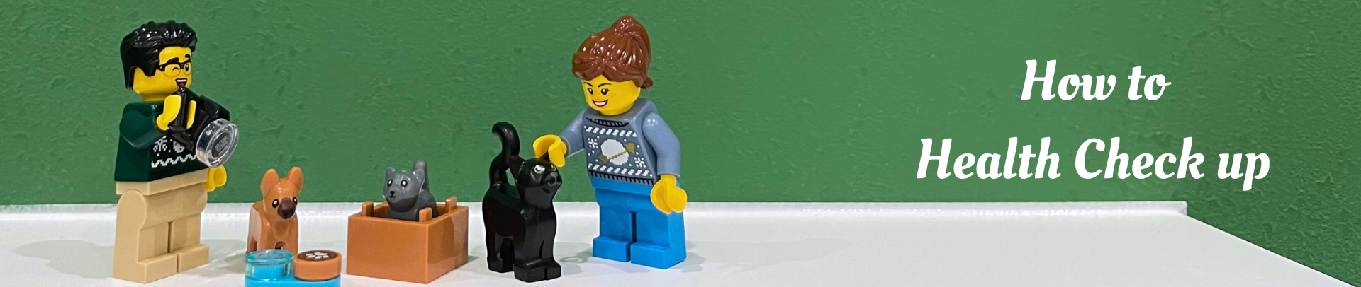 池田市・箕面市・川西市の動物病院|犬・猫の健康診断|予約・受診の流れ 健康診断の流れ