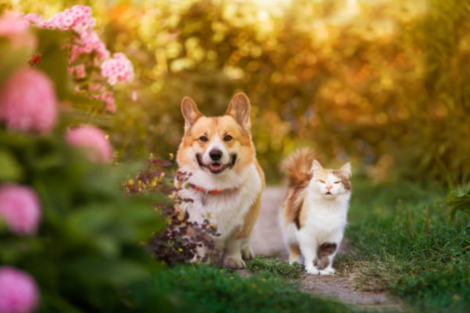 春の予防のお知らせ