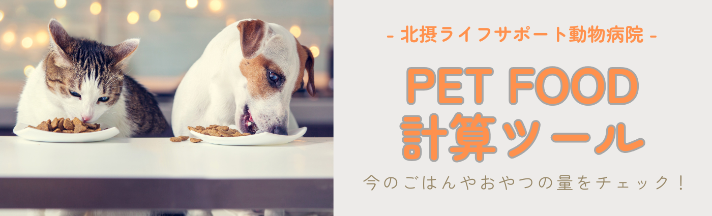 食事量計算サイト